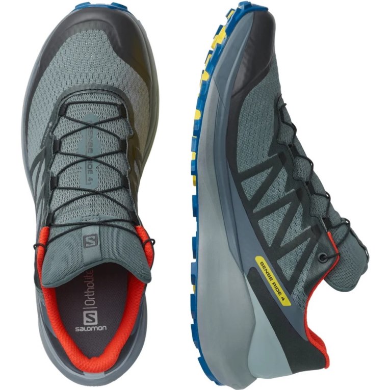 Sapatilhas Trail Running Salomon Sense Ride 4 GTX Invisible Fit Masculino Cinzentas | PT J01329